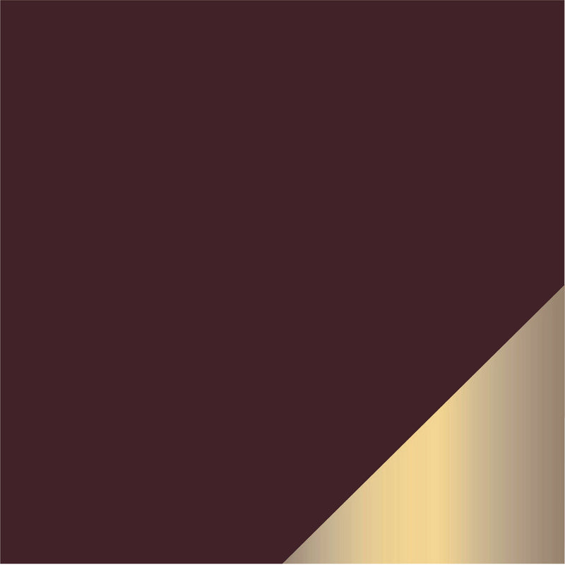 Latte Brown & Gold Plastic Tableware