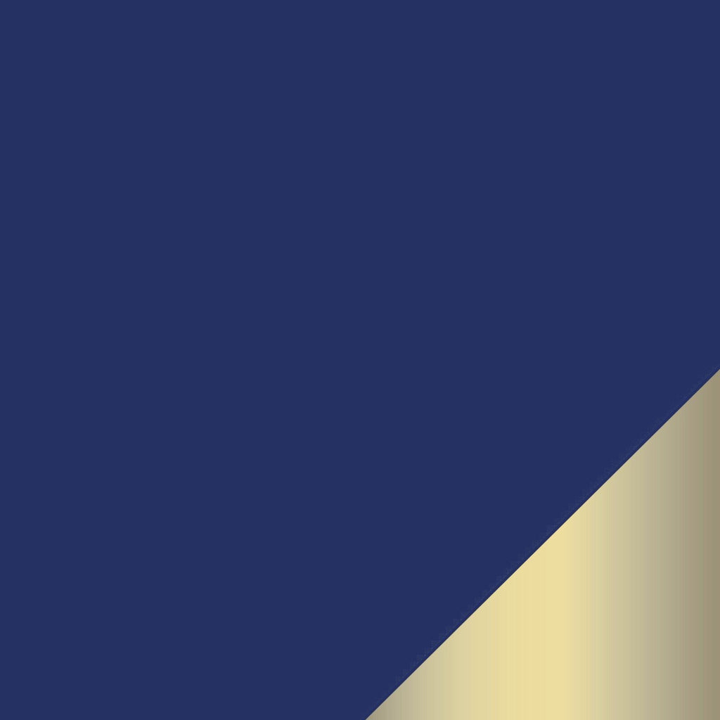 Elegant Disposable Blue and Gold Tableware | Luxe Party NYC