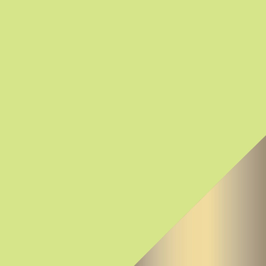 Lime Green and Gold Plastic Tableware  | Luxe Party NYC