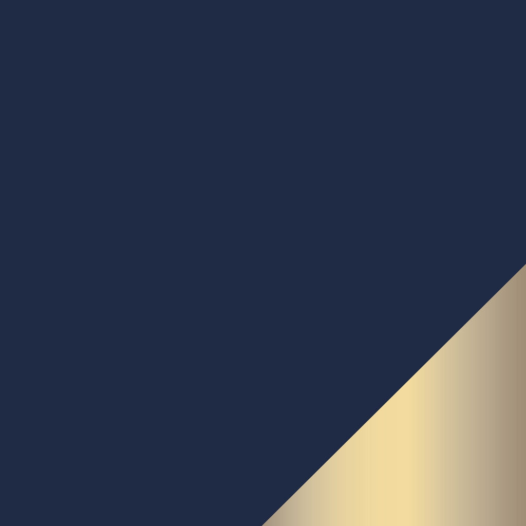 Navy and Gold Plastic Tableware Collection | Luxe Party NYC