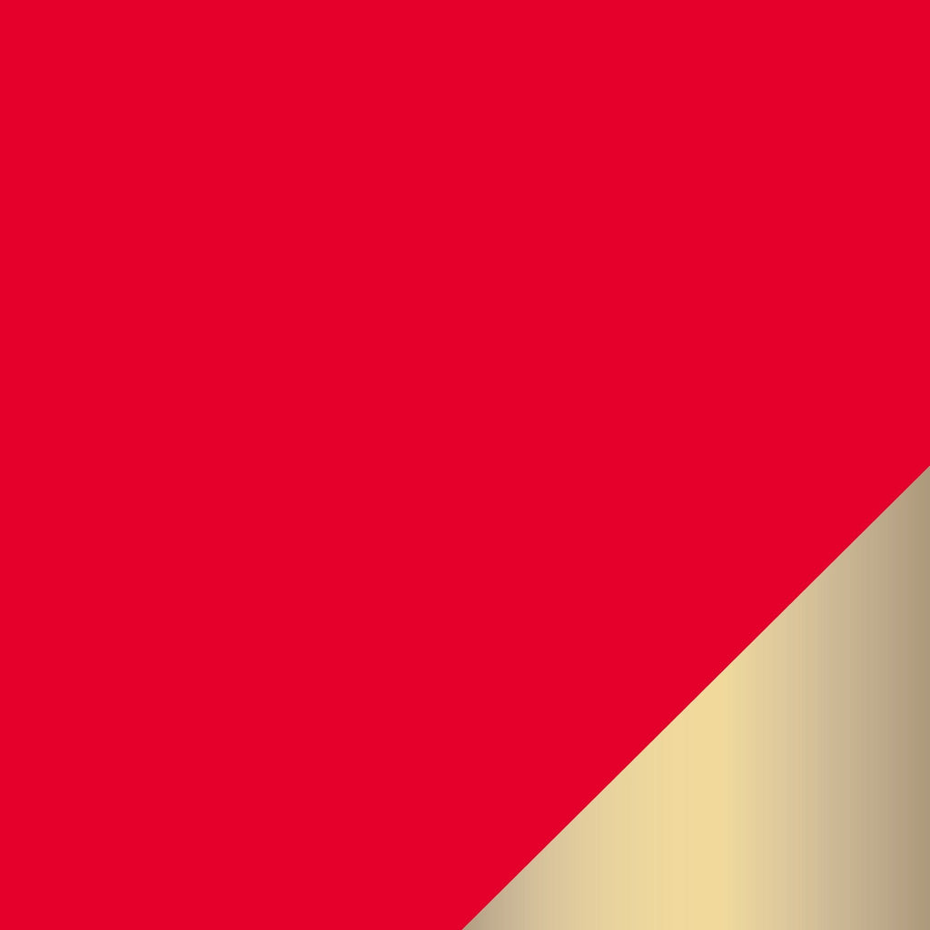 Upscale Red and Gold Disposable Tableware| Luxe Party NYC