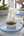 Accent Bowls Soup Bowls 14 Oz. Round White • Silver Plastic Bowls | 10 Pack