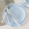 Round Accent Plastic Plates Round Ice Blue • Silver Plastic Plates | 10 Pack