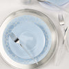 Round Accent Plastic Plates Round Ice Blue • Silver Plastic Plates | 10 Pack